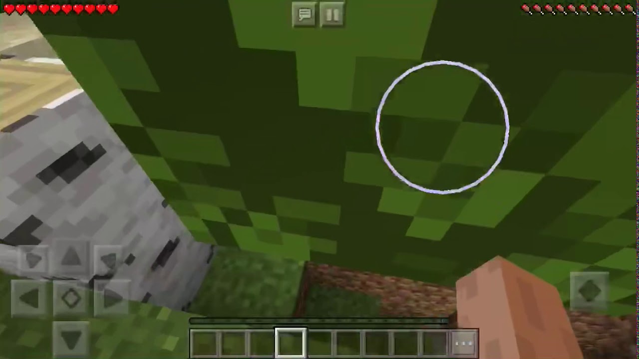 My Minecraft Survival World YouTube