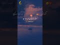 Tehzeeb hafi poetry | Ali zaryounpoetry Alizaryoun Aqbalpoetry | WhatsApp Status #2023status #shorts