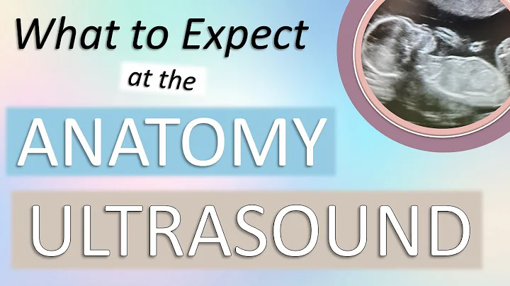 What to Expect at the Anatomy Ultrasound | Week 19