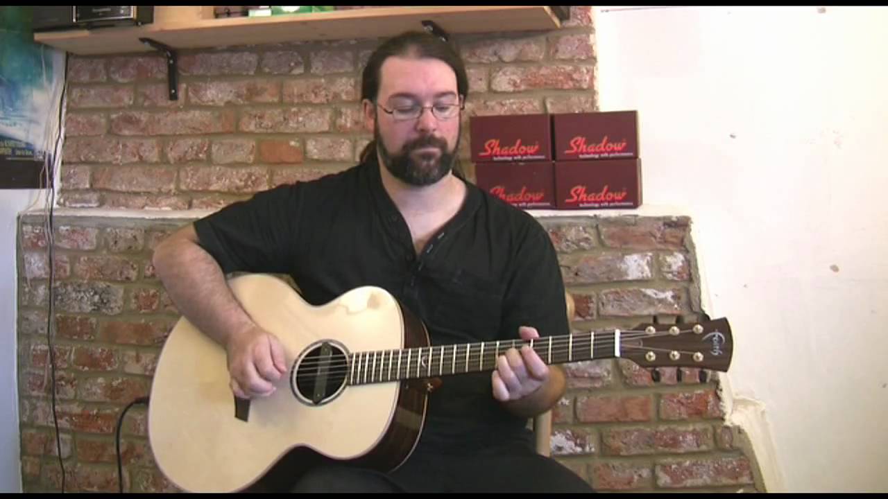 Shadow Soundhole Pickups Review - YouTube