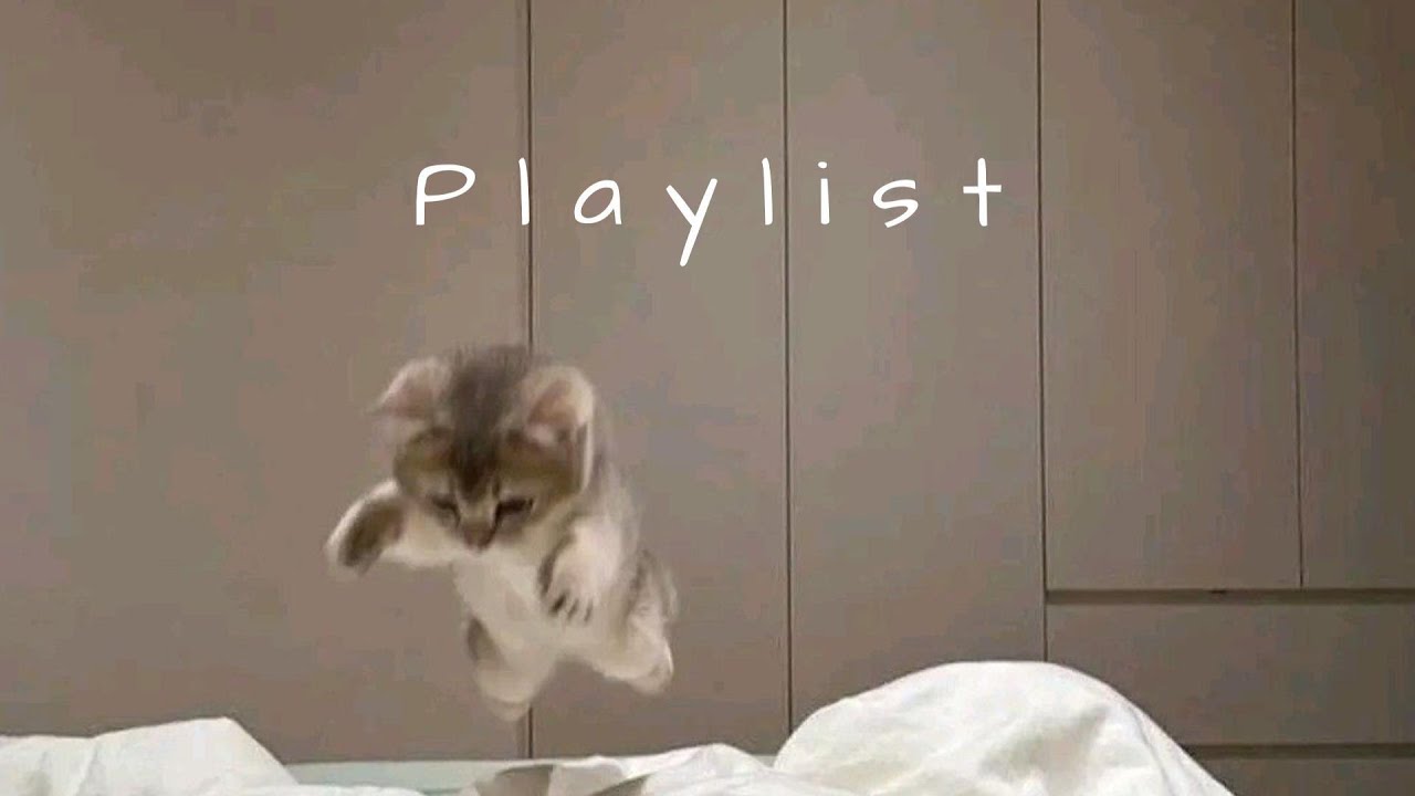 𝐏𝐥𝐚𝐲𝐥𝐢𝐬𝐭 인스타 릴스에서 저장해둔 그 감성 🤍🎧 | reels vibe · chill r&b · mood