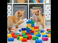 Kittens playing with colorful blocks