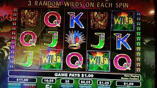 8 free spins with 3 random wild wpg vlt screenshot 5