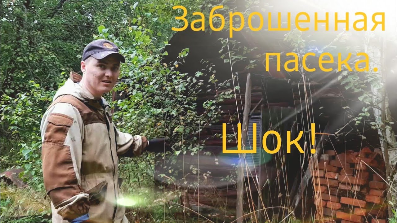 Заброшенная пасека спустя 13 лет. Шок!