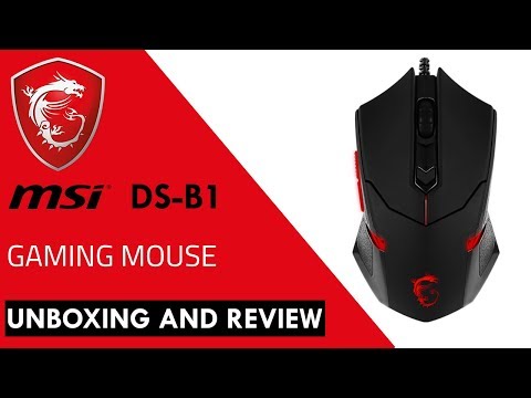 MSI Interceptor DS B1 Gaming Mouse, Unboxing and Review