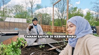 Tanam Sayur di Kebun Baru dengan Mak Di Belakang Rumah US