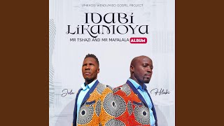 Ndoqhayisa ngawe