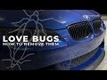 Gambar cover Remove Love Bugs Without Damaging Your Paint