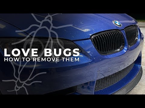 Remove Love Bugs Without Damaging Your Paint