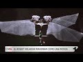 Robot volador que maniobra como una mosca