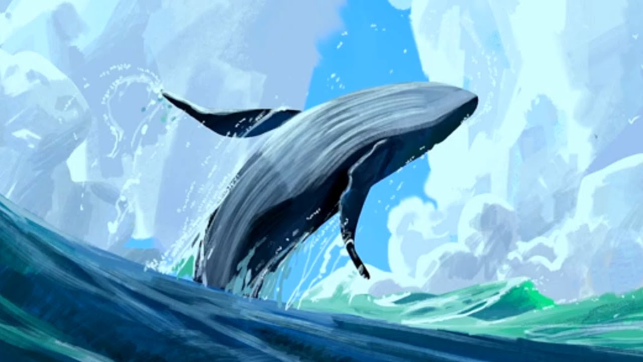 The Snail And The Whale: Art Work Gallery!