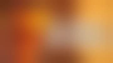 The Average Day On Rust