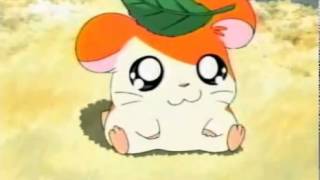 Video thumbnail of "Hamtaro Opening german/deutsch"