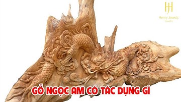 Gỗ ngọc am có tác dụng gì mà được săn lùng nhiều đến vây?