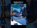 Ranking the Funniest Sea Lion Moments