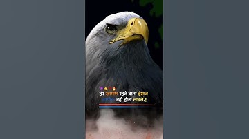 #attitude_whatsapp_status 💯😎✌️#attitude #short #vayrl #motivational #youtube #youtuber #vayralvideo