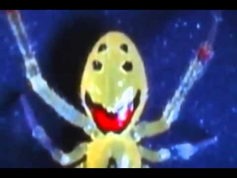 Happy Spider: Theridion grallator