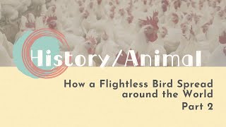 【LIVE互動英語: 20221215】 動物趣聞：不會飛的鳥如何遍布世界各地？2