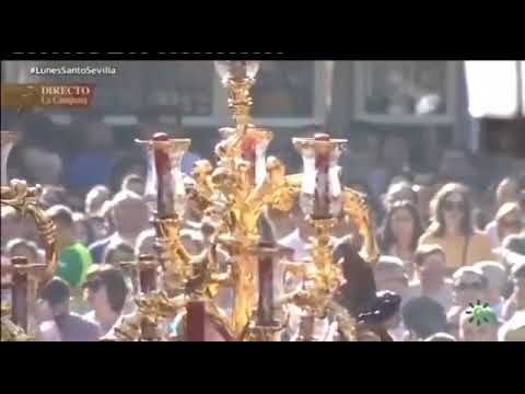 Hermandad y Cofradía de Nazarenos del Santísimo Sacramento, Nuestro Padre Jesús Cautivo en el Abandono de sus Discípulos, y Nuestra Señora de las Mercedes Coronada y San Juan Evangelista en la Tercera Palabra, Inmaculada Milagrosa y Santa Genoveva