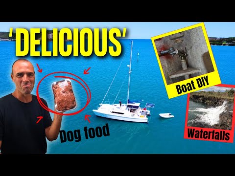 "From Mountain Views To Tasty Chews 🐕 - Our Wild Boat Life"