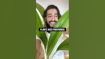 Cucumber Hacks | creative explained