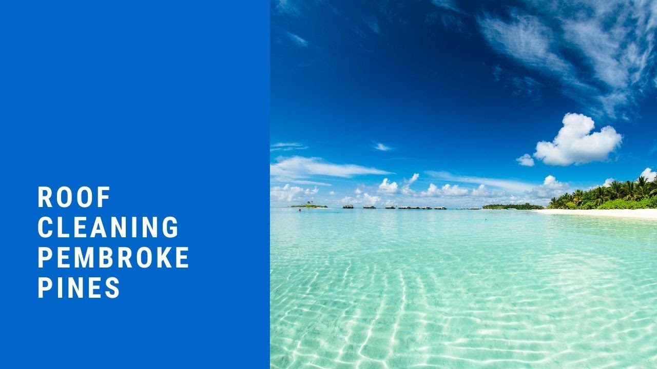 Roof Cleaning Pembroke Pines YouTube