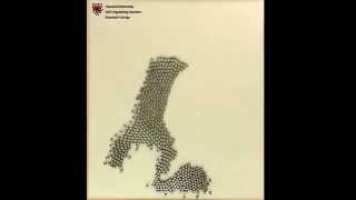 Programmable Self-Assembly on a 1000 Robot Swarm: Science 2014, Video 3 Wealth