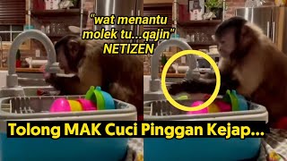 Gelagat Lucu Monyet Ni Mencuci Pinggan Tarik Perhatian Netizen