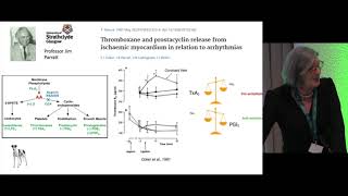 Getting to the Heart of the Matter by Professor Cherry Wainwright, Stephen Paget Lecture 2022