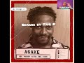 Asake - Dupe (instrumental) (Remake by Trig R)
