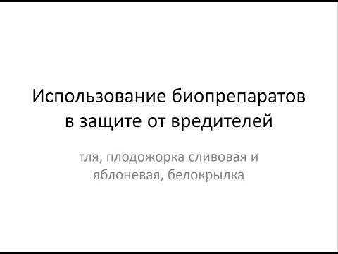 Использование биопрепаратов в защите от вредителей. Тля, плодожорка, белокрылка. Ефимов Игорь