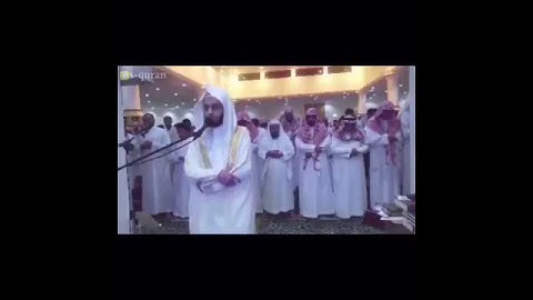 القارئ/انس الميمان
