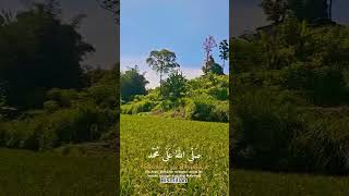indahnya pemandangan & do'a semoga hari ini Allah melimpahkan rezeki terbaikNya kepada kita semua