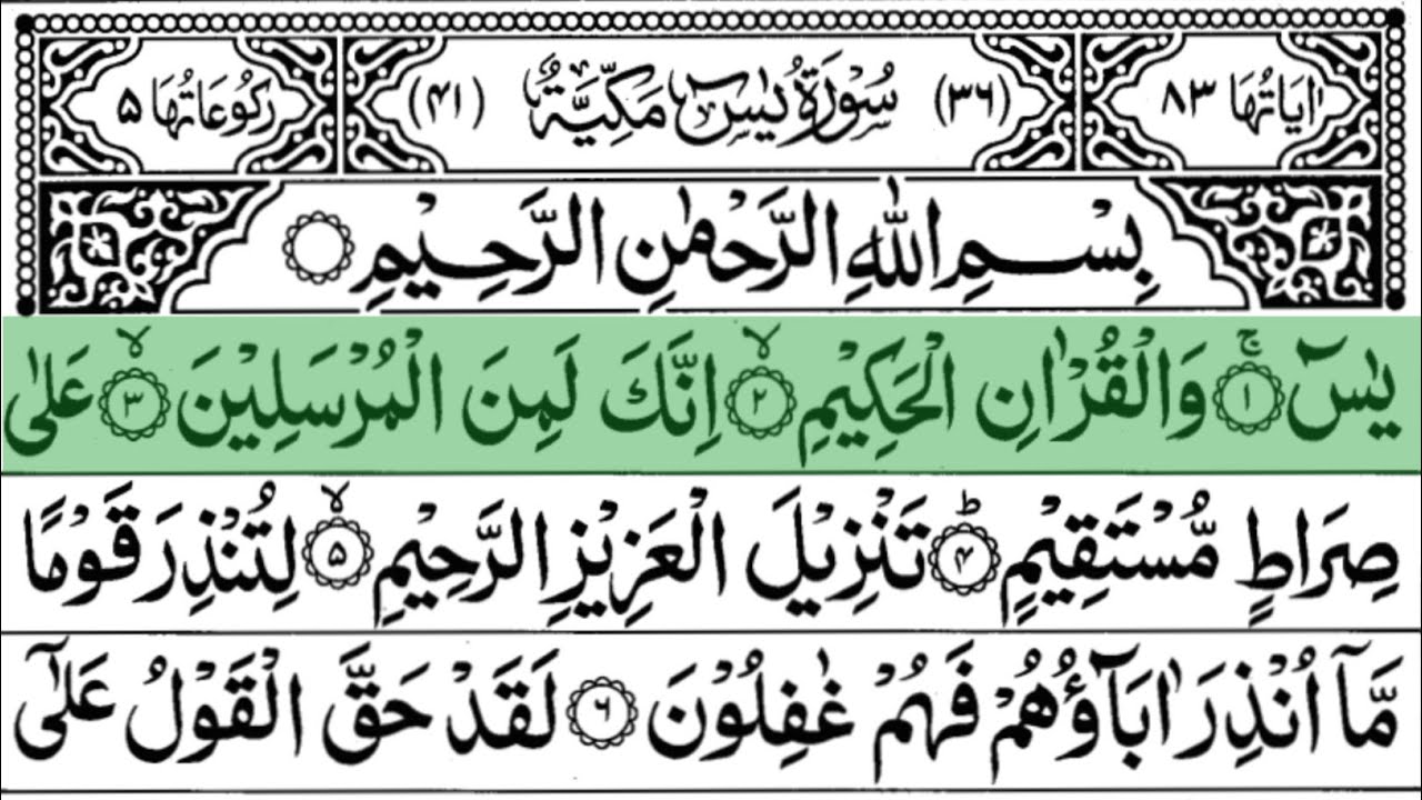 Surah  yaseen | yasin | best tilawat | amazing tilawat #surahyaseen #peace #surahyasinmubinkitakrar