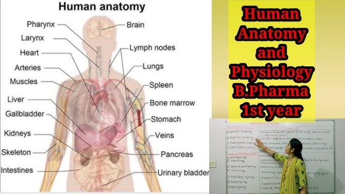 Pharmaceutical analysis definition and scope - Pharmasiksha