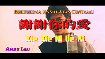 谢谢你的爱 _ Xie Xie Ni De Ai _ Andy Lau _ (Lyrics + Translate)