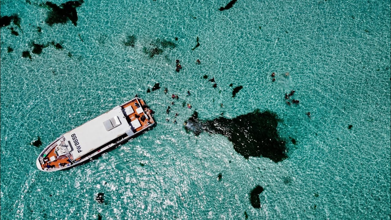 Taxi Cap - Journée sur l'Ilet Chevalier