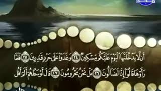 سورة القلم كاملة ترتيل الشيخ محمد صديق المنشاوي من قناة المجد للقرآن الكريم.mp4