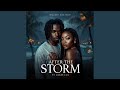 After The Storm We Rise Feat Zaraé Lux mp3