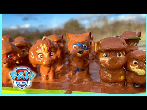 Paw Patrol Mighty Pups & Sea Pups Covered in Mud! Help Us Clean Them!