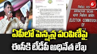 TDP Chief Chandrababu Letter to Election Commissioners on Pensions in AP | 6TV