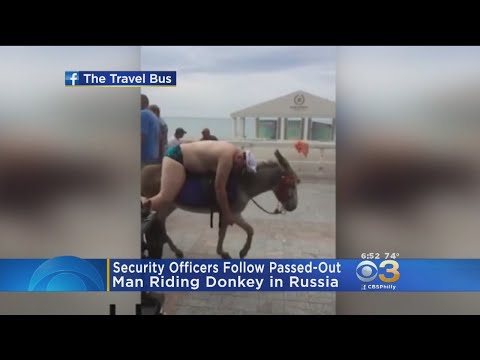 Man Passes Out Riding Donkey
