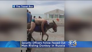 Man Pes Out Riding Donkey