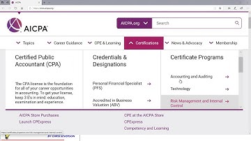 Auditing - Accounting Entities - Severson