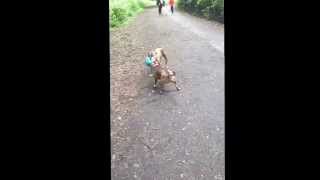 Rhianna And Tabitha Playing