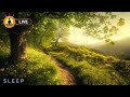 🔴 Soothing Relaxing Music 24/7, Peaceful Sleeping Music, Stress Relief Music, Nature Sounds Forest