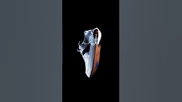 The 3rd drop of Log; Collection