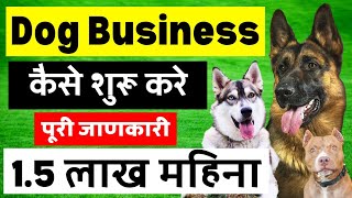 Dog Business Kise Shuru Kare | How To Start A Dog Business | In India by Vaibhav Dog's World 20,456 views 9 months ago 9 minutes, 1 second