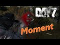 #DayZ -  Разное | ПВП | таких серверов уже нет