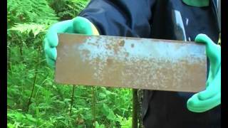 Neomid 570 - Удалитель Ржавчины.avi